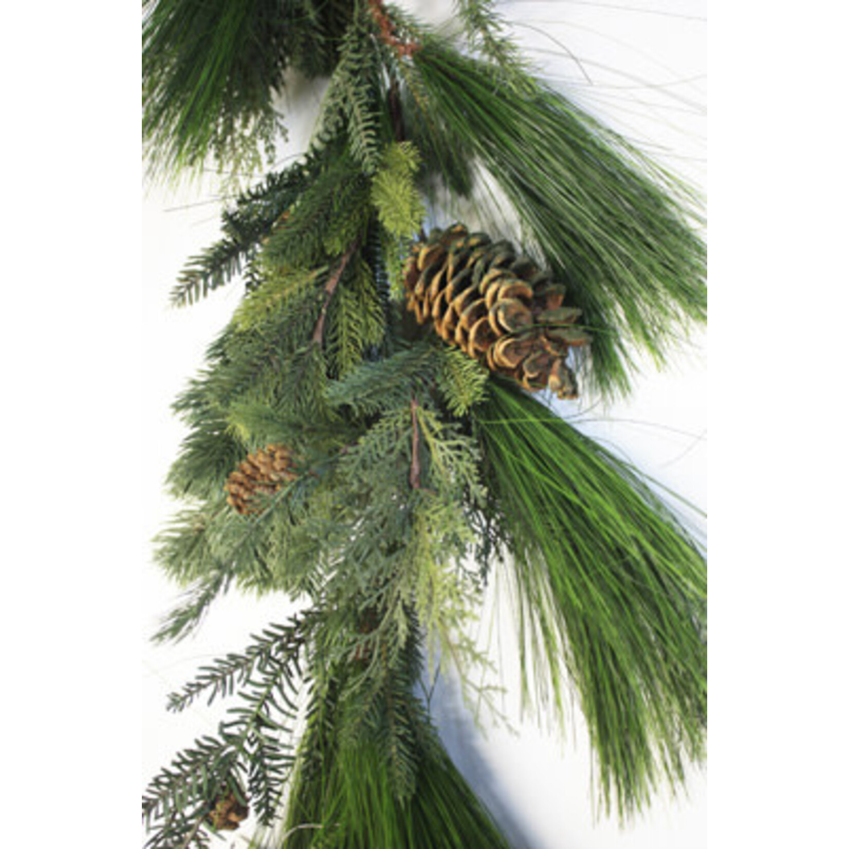 6' MIXED PINE GARLAND GREEN