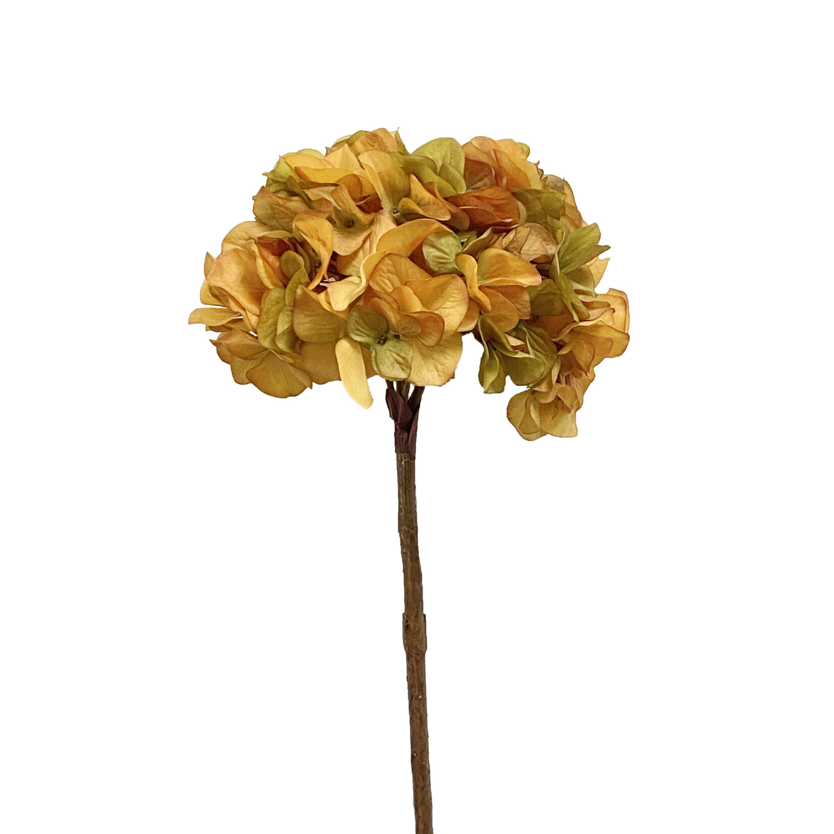 30" HYDRANGEA SPRAY AMBER TWO TONE
