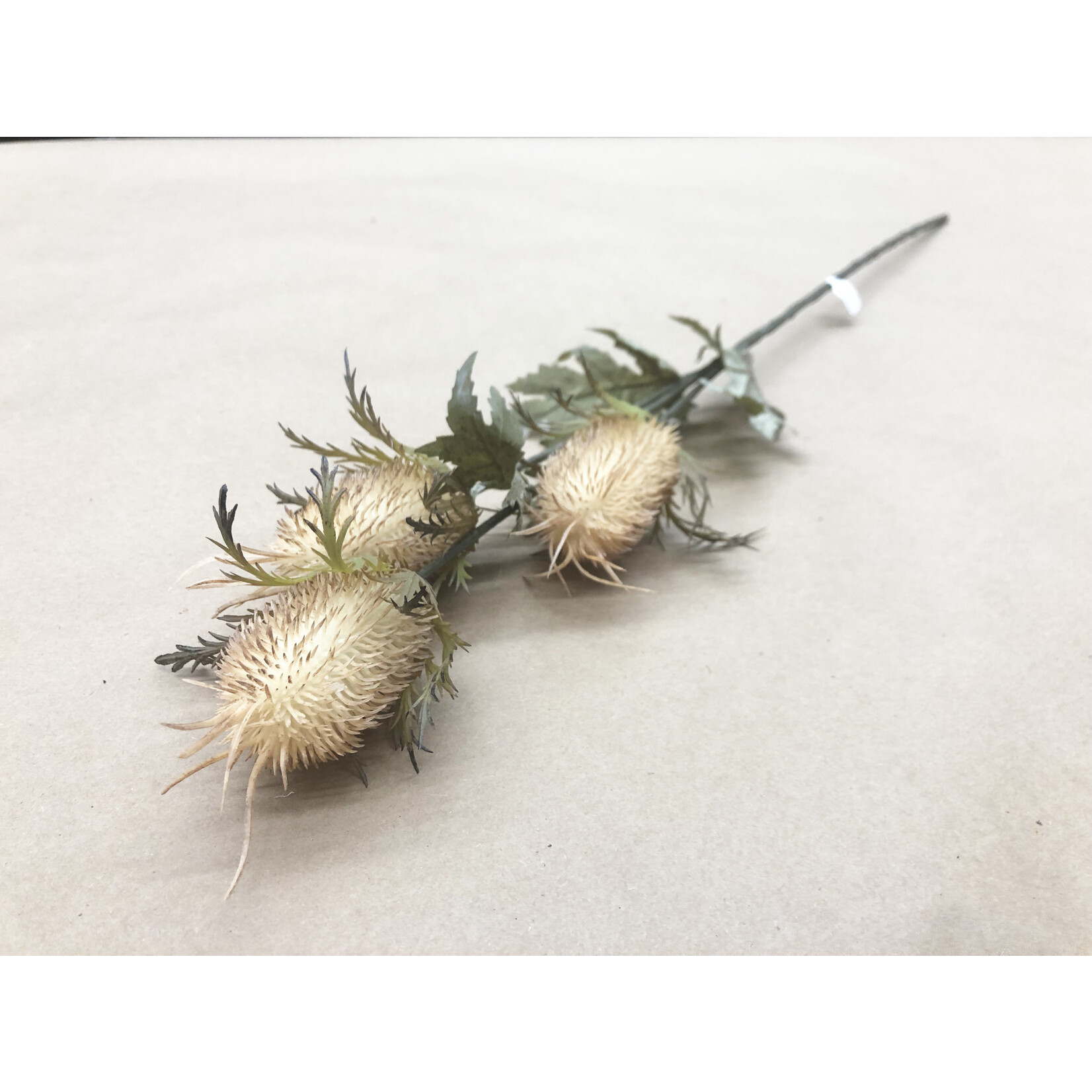 26" THISTLE SPRAY BEIGE