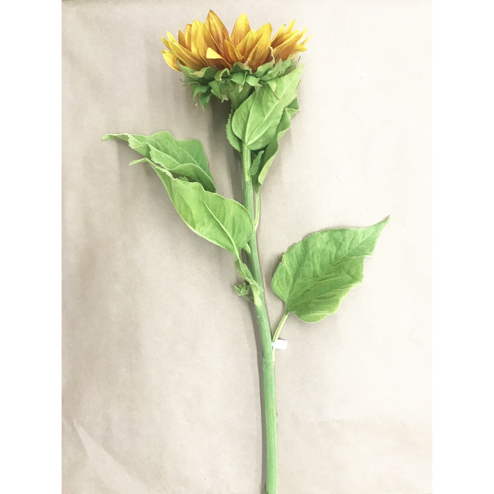 42" SUNFLOWER STEM GOLD