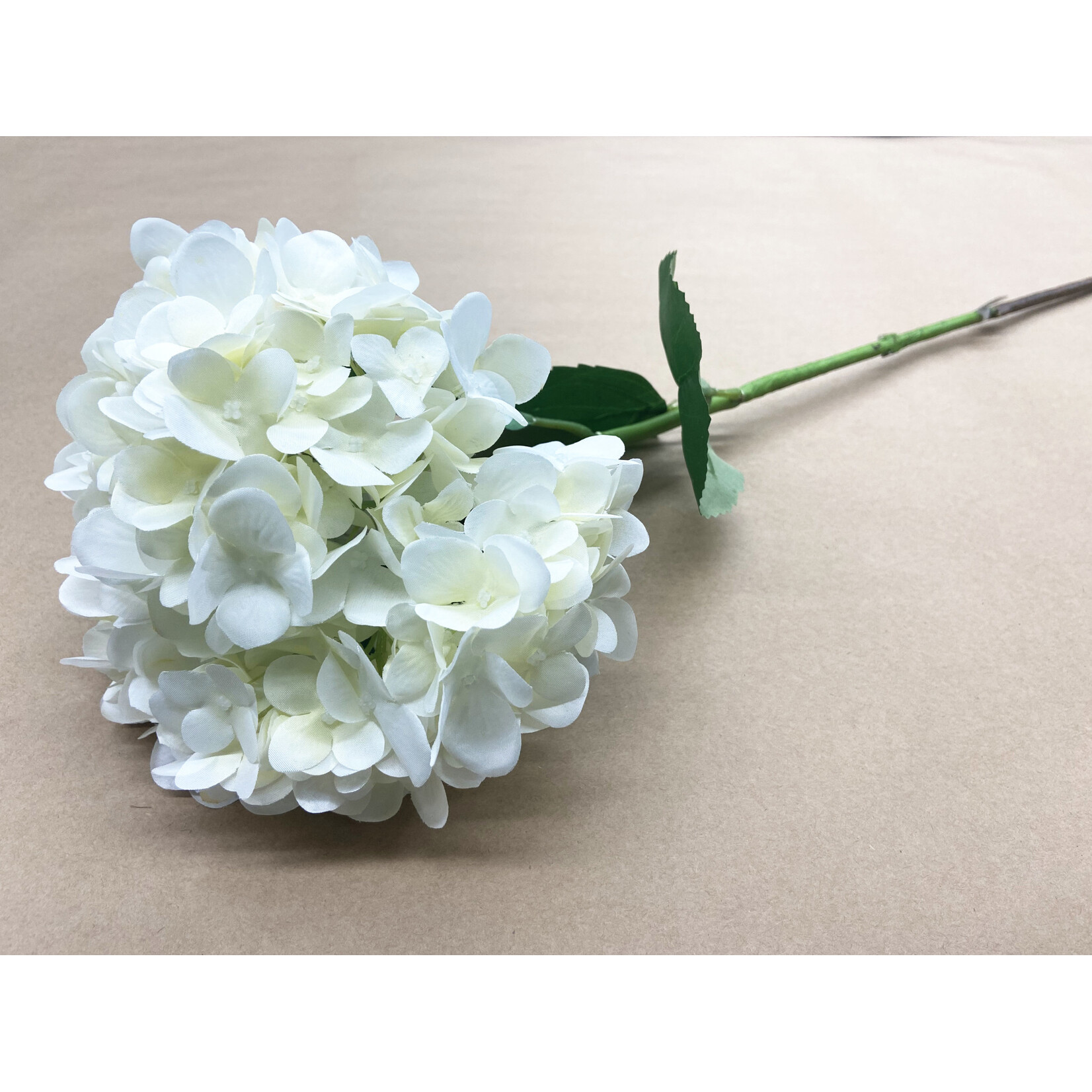 30" GARDEN HYDRANGEA SPRAY CREAM
