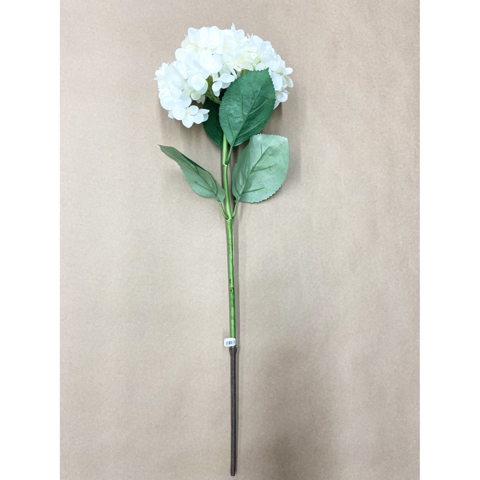 30" GARDEN HYDRANGEA SPRAY CREAM