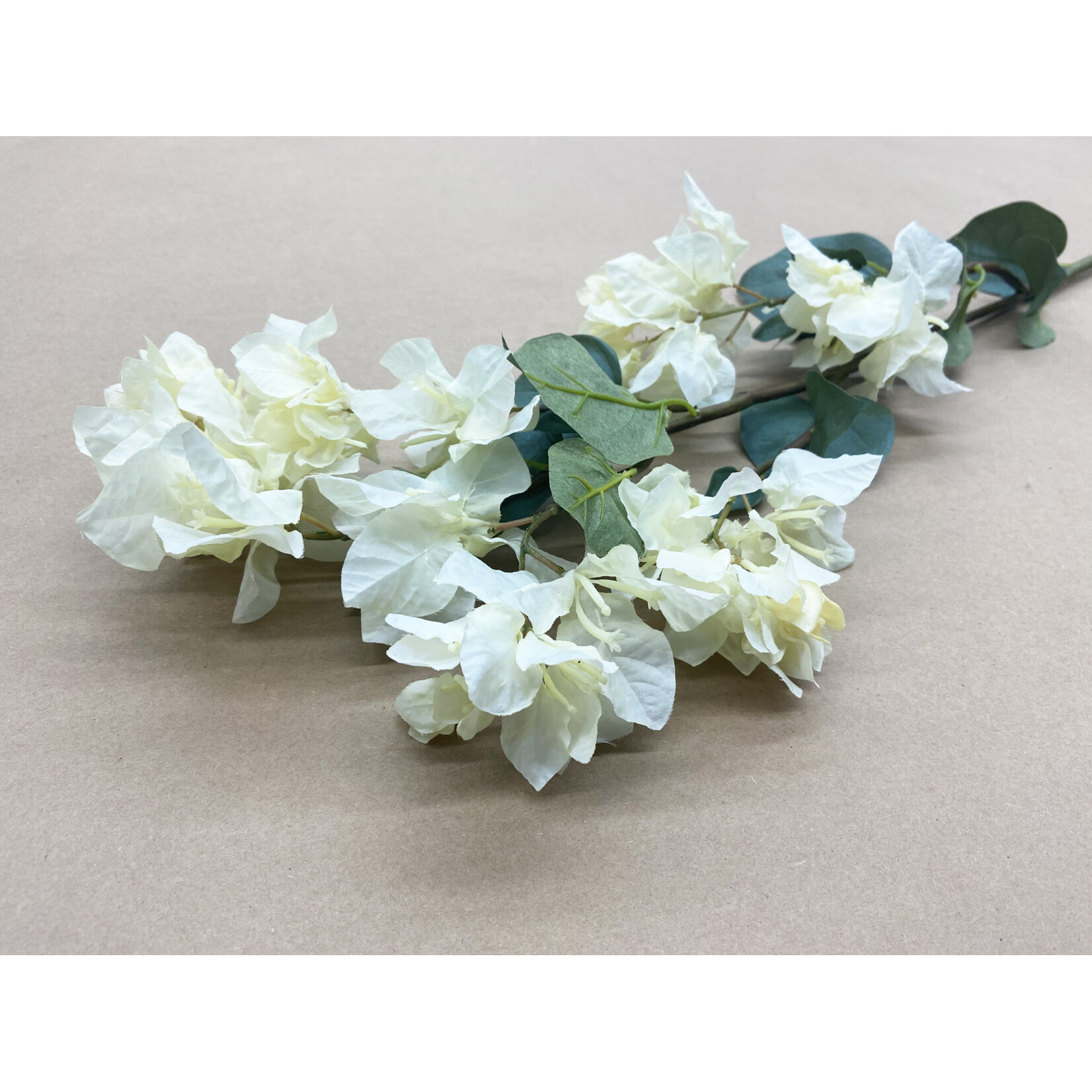 37.5" BOUGAINVILLEA WHITE