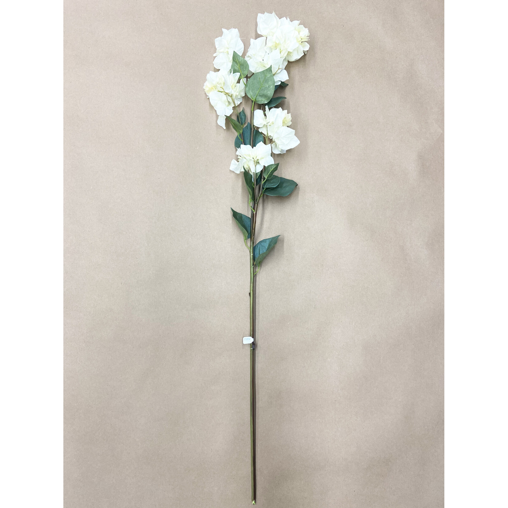 37.5" BOUGAINVILLEA WHITE