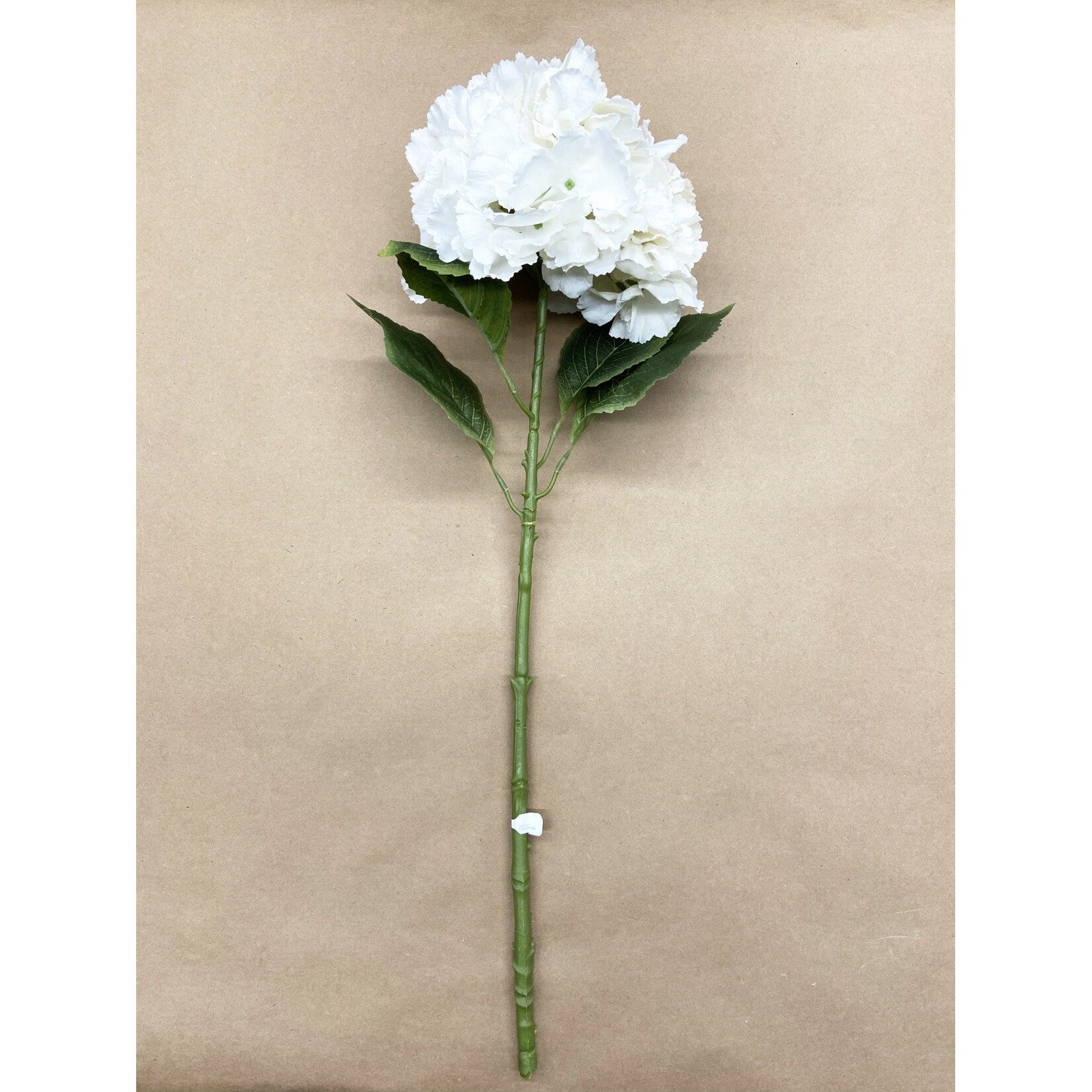 26" HYDRANGEA SPRAY IVORY