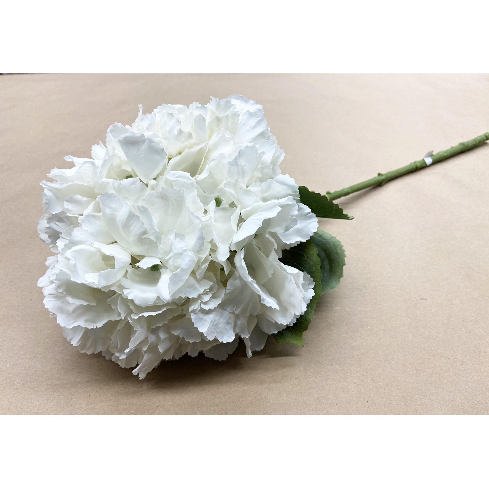 26" HYDRANGEA SPRAY IVORY