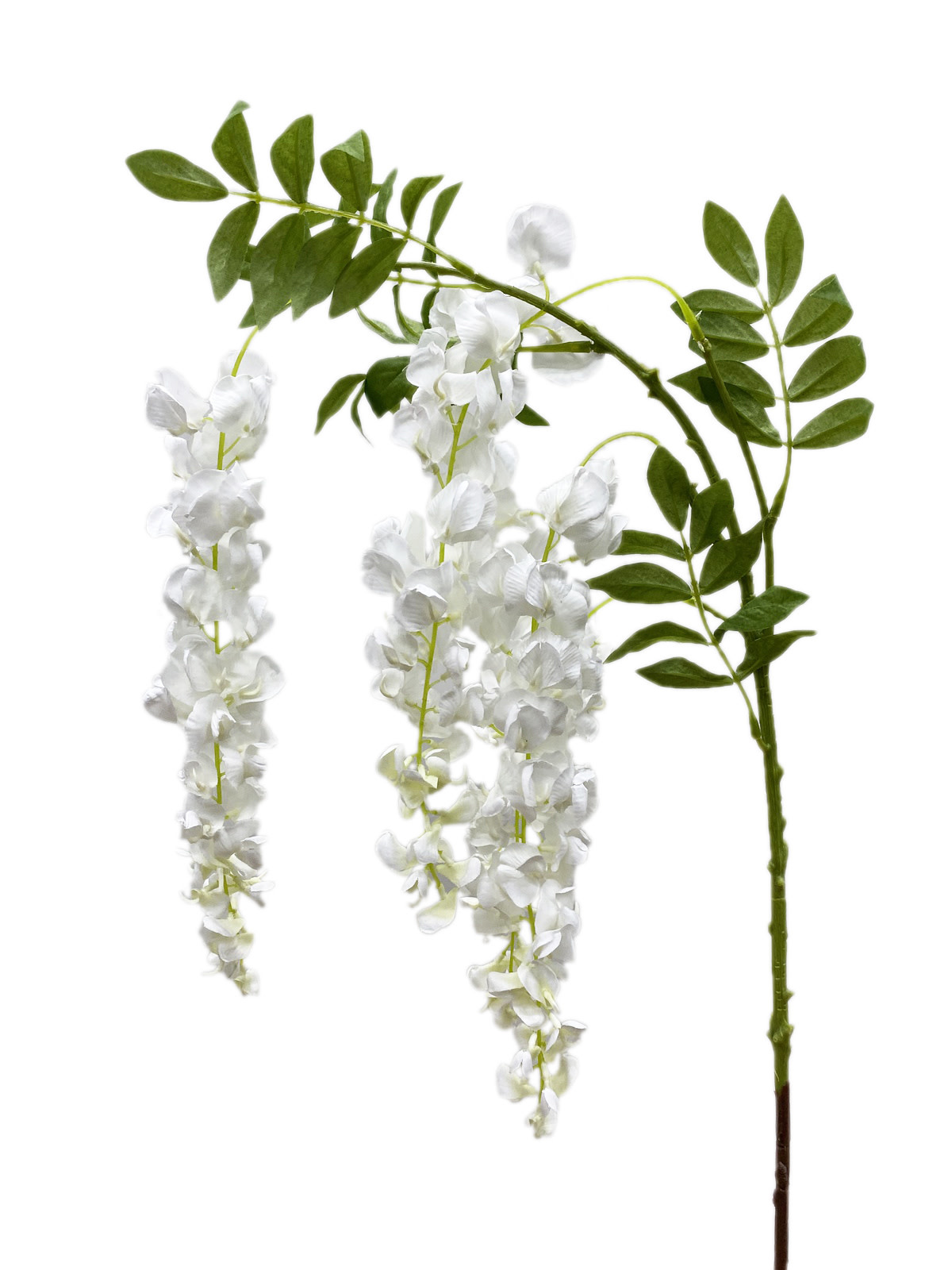 CSW521-WH: 48" WISTERIA STEM WHITE - CFD Flower