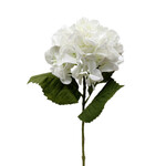 CSH611-CR: 29" HYDRANGEA STEM - CREAM