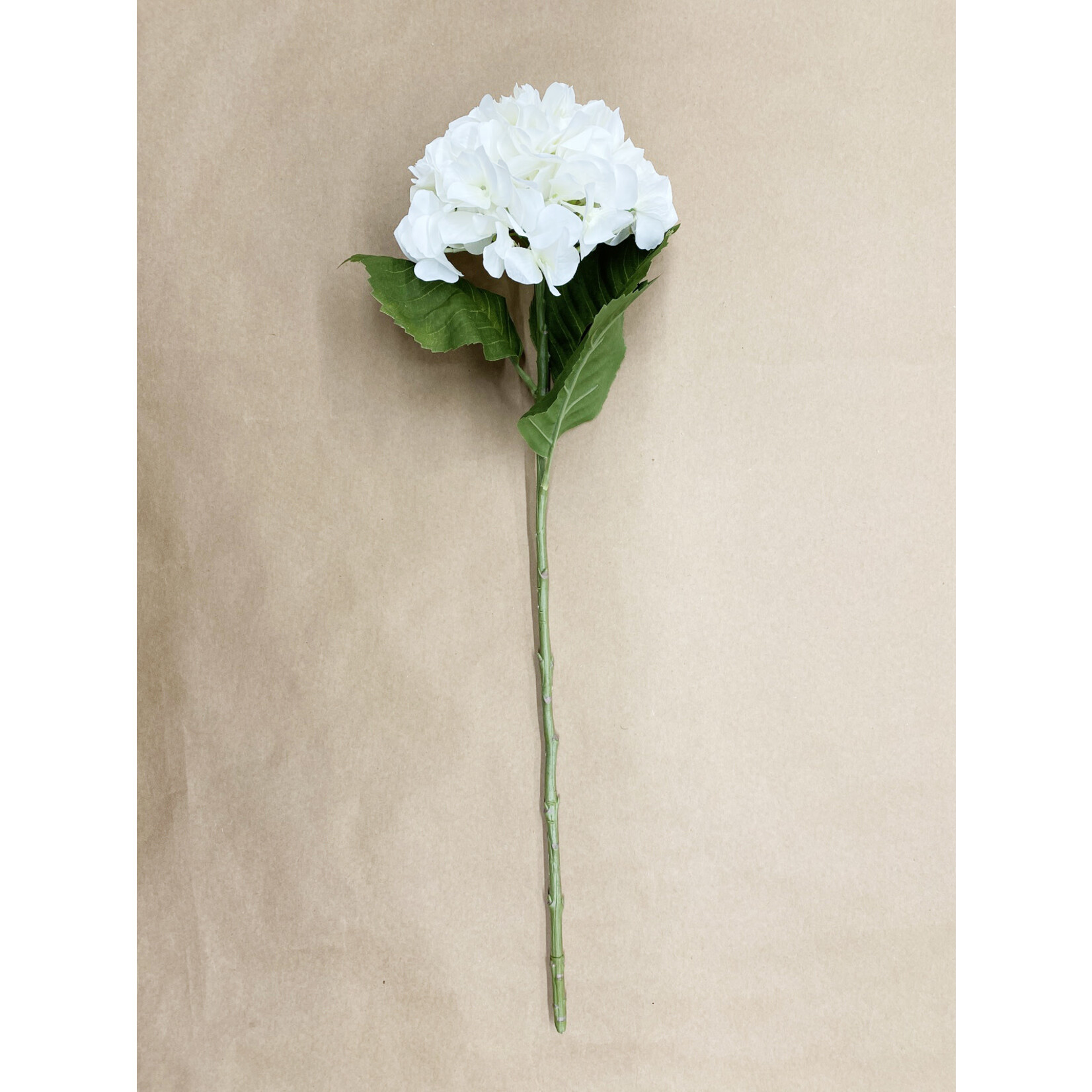 29" HYDRANGEA STEM - CREAM