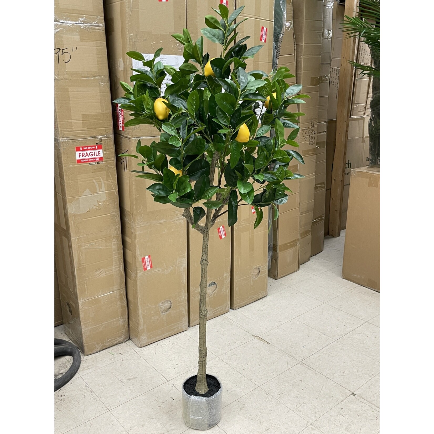 65" LEMON TREE IN POT YELLOW GREEN