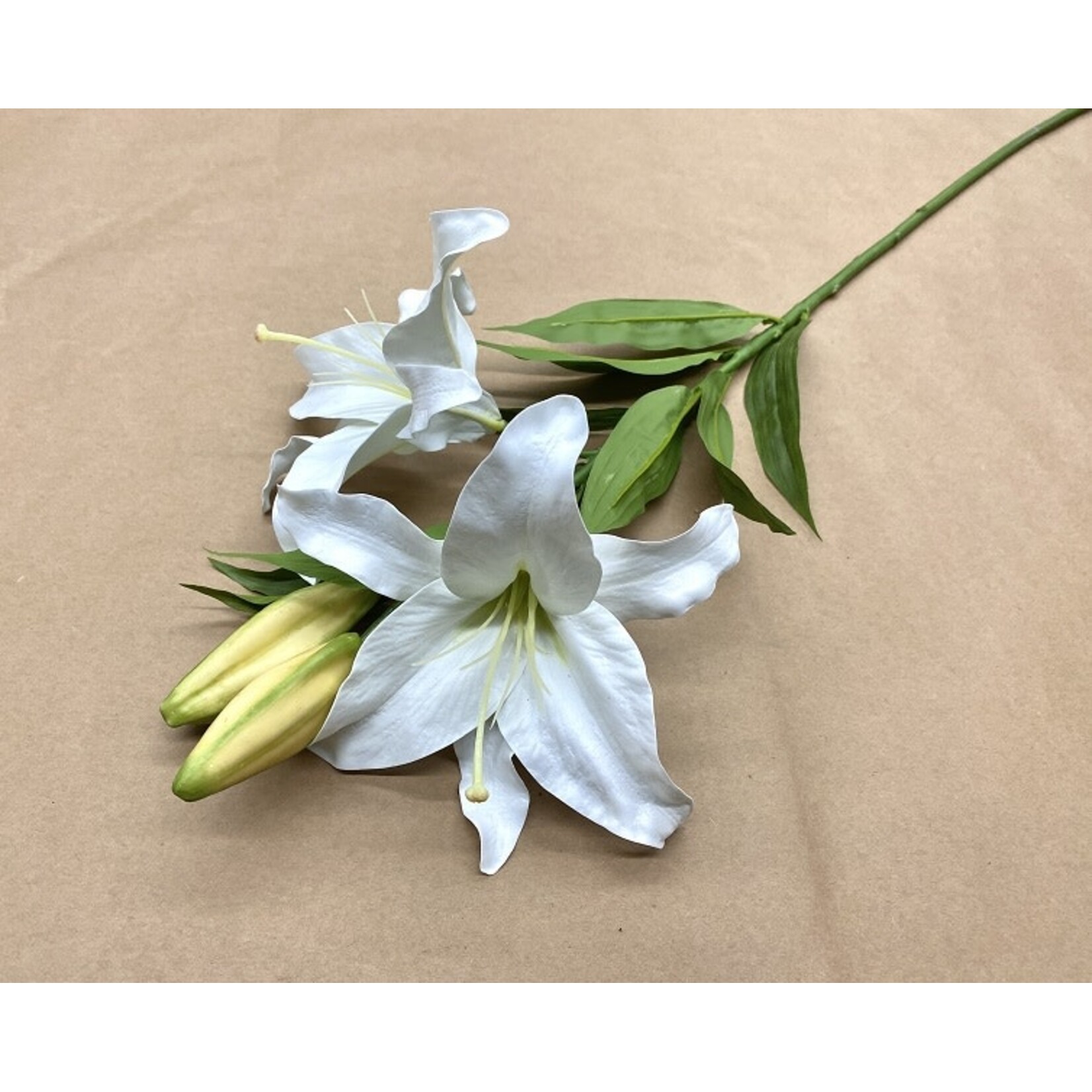 39.5" LILY CASABLANCA TWO-TONE WHITE