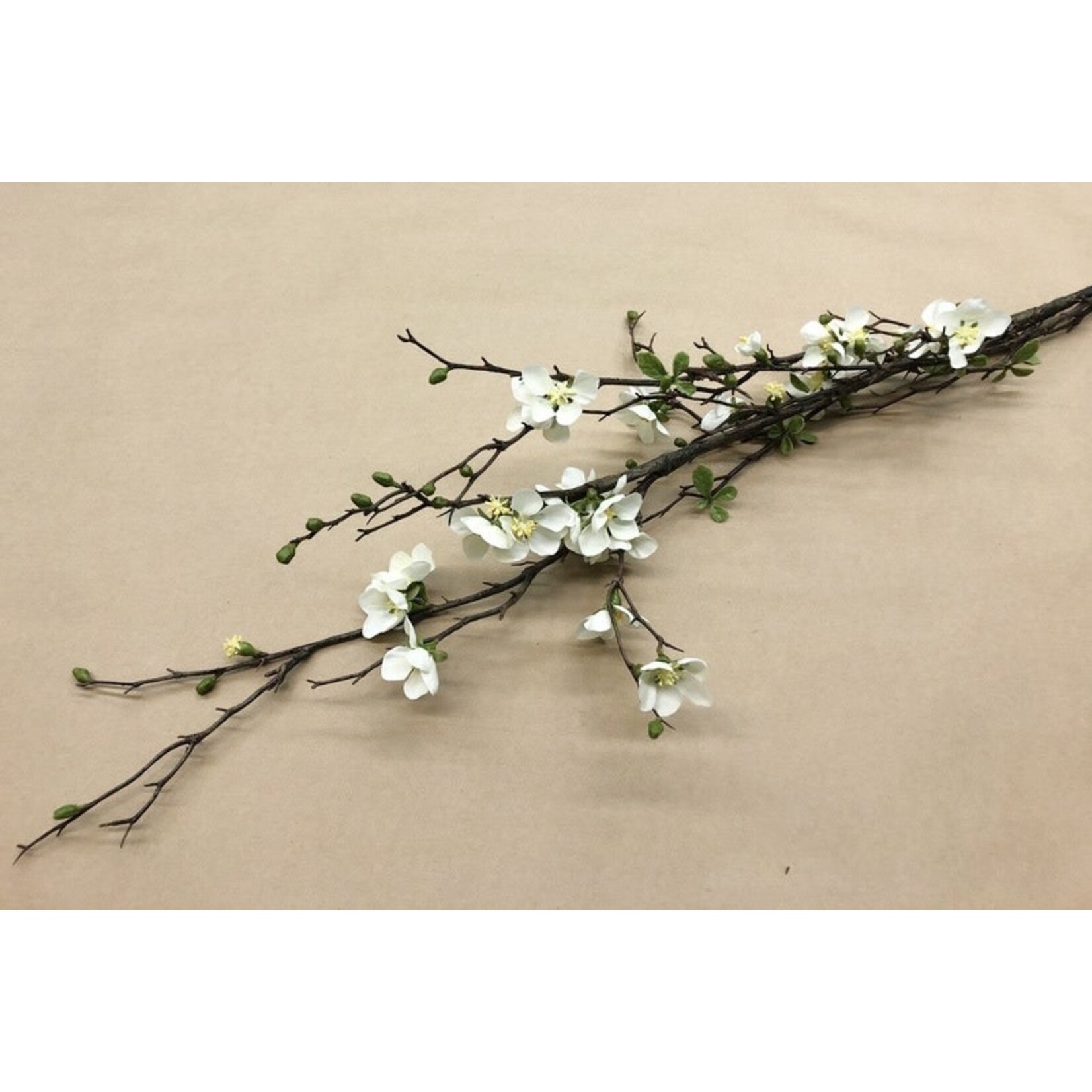 57" QUINCE BLOSSOM BRANCH CREAM