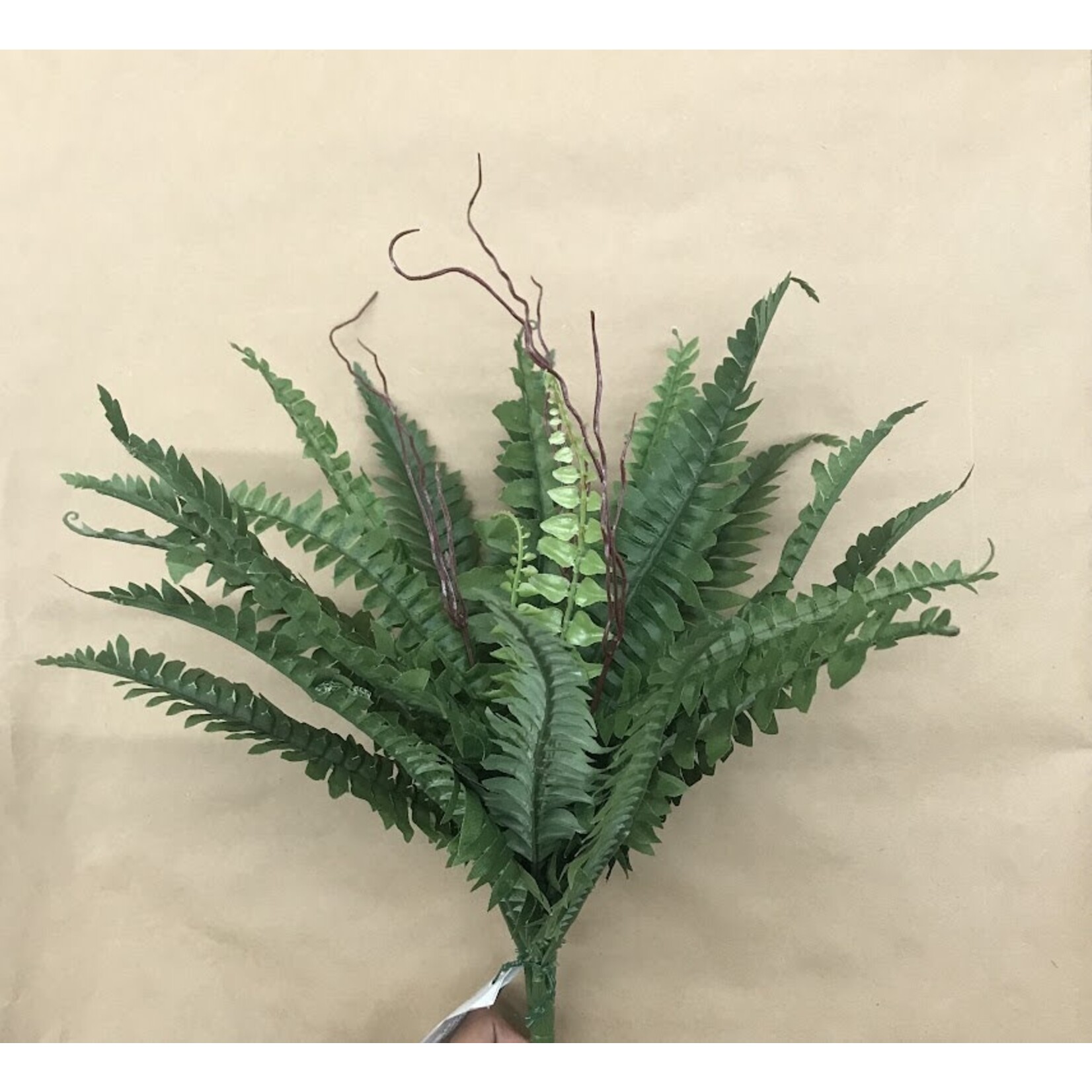 16" BOSTON FERN BUSH GREEN