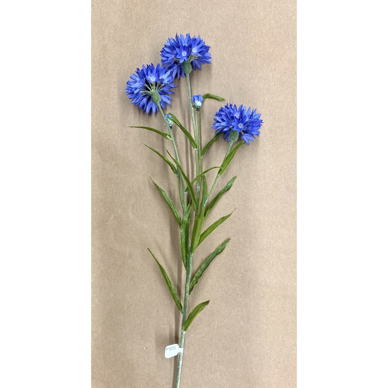 25.5" CORNFLOWER SPRAY BLUE