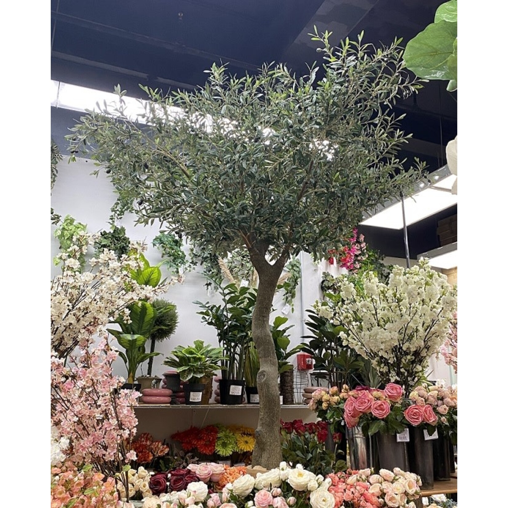 7' OLIVE TREE GREEN BLACK