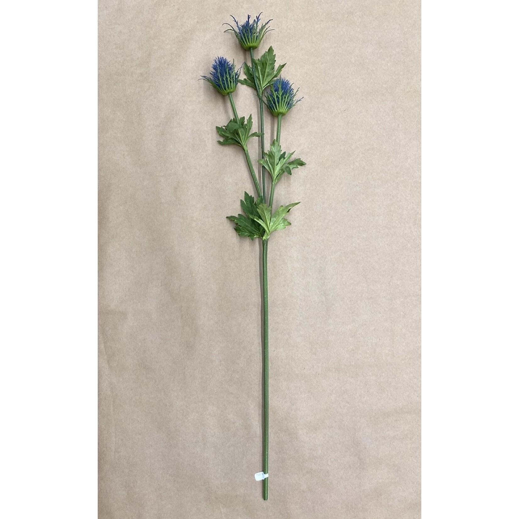 32.5" THISTLE SPRAY HELIO