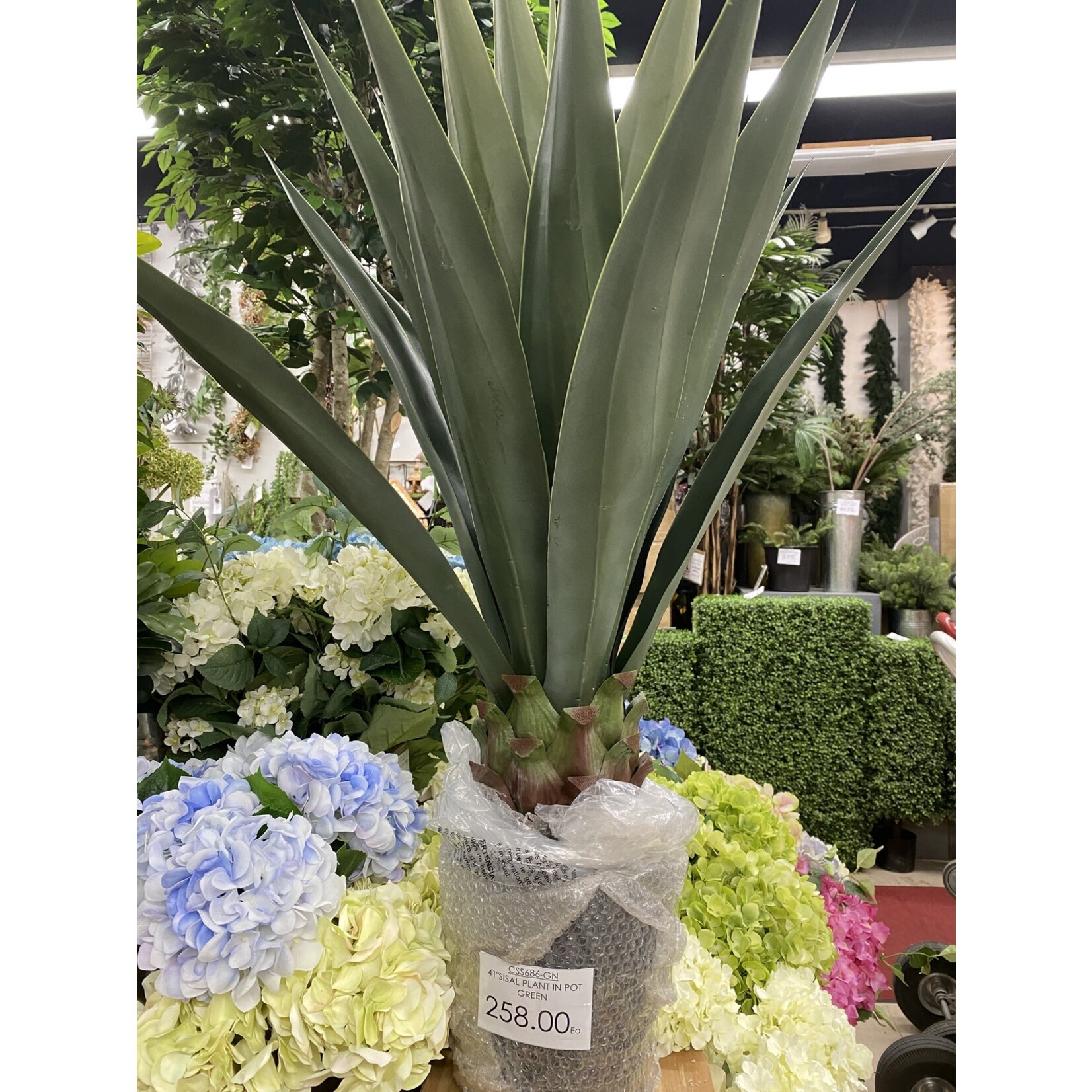 41" SISAL PLANT IN POT GREEN