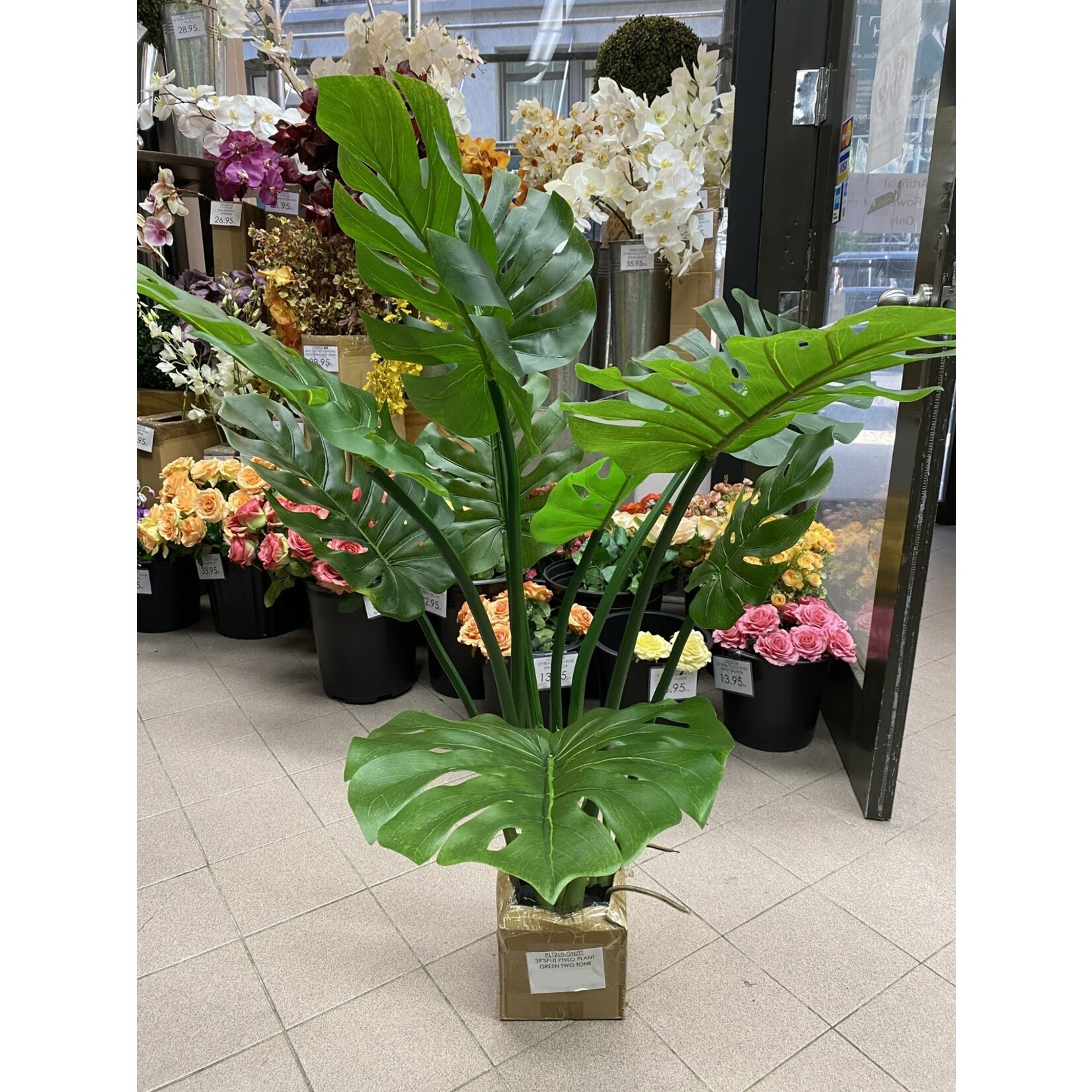 39" SPLIT PHILO PLANT GREEN TWO TONE