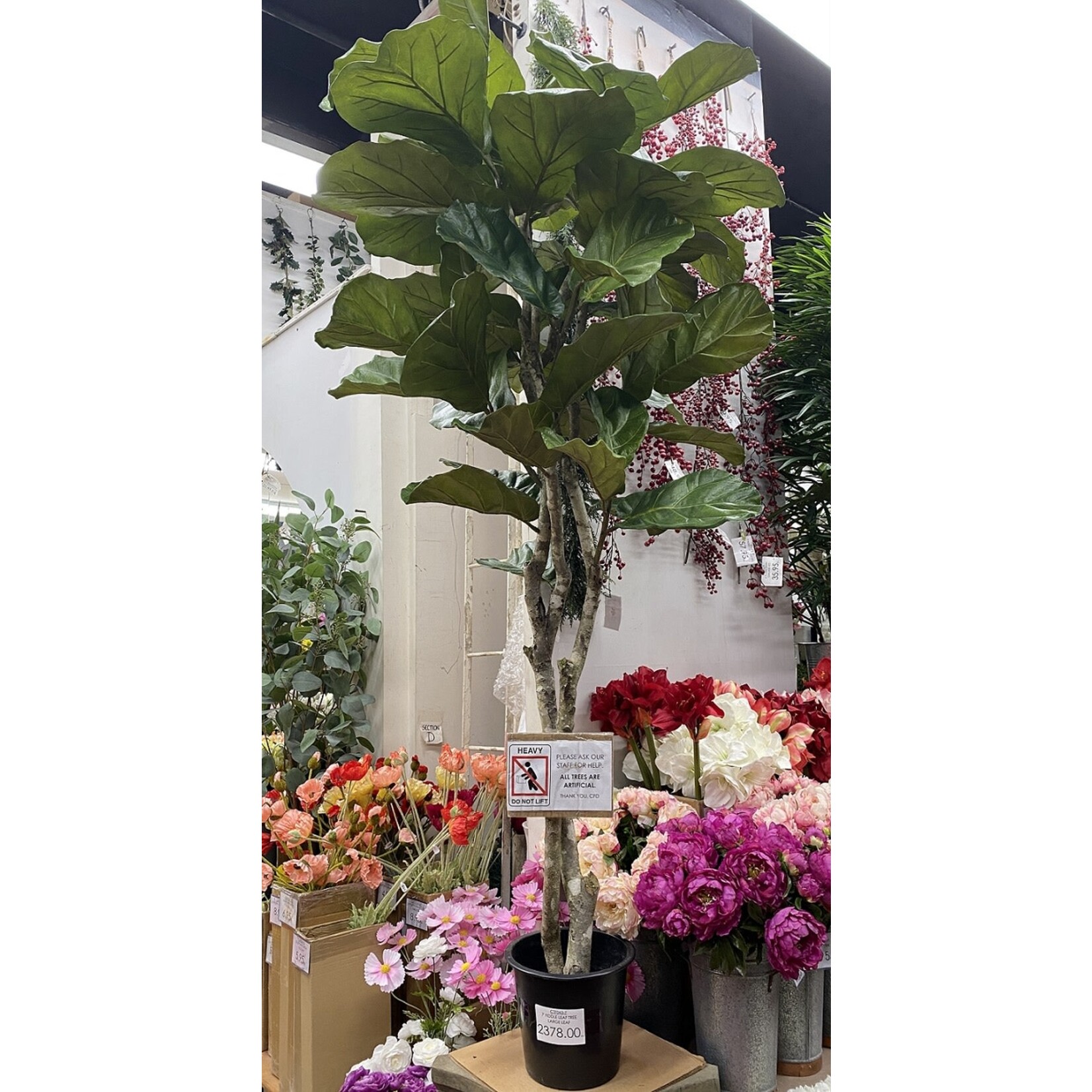 7' FIDDLE LEAF TREE LARGE LEAF