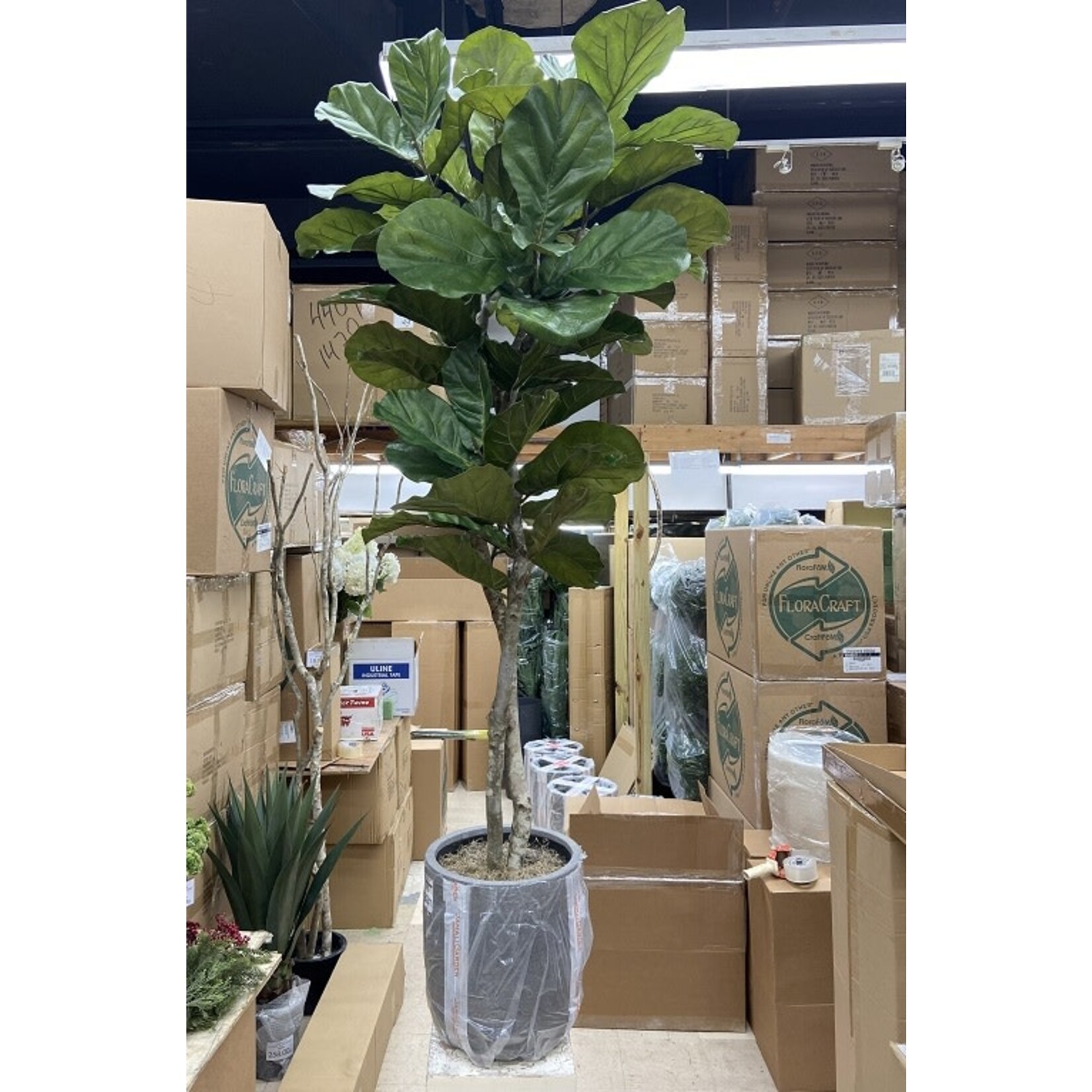 8' FIDDLE LEAF TREE LARGE LEAF