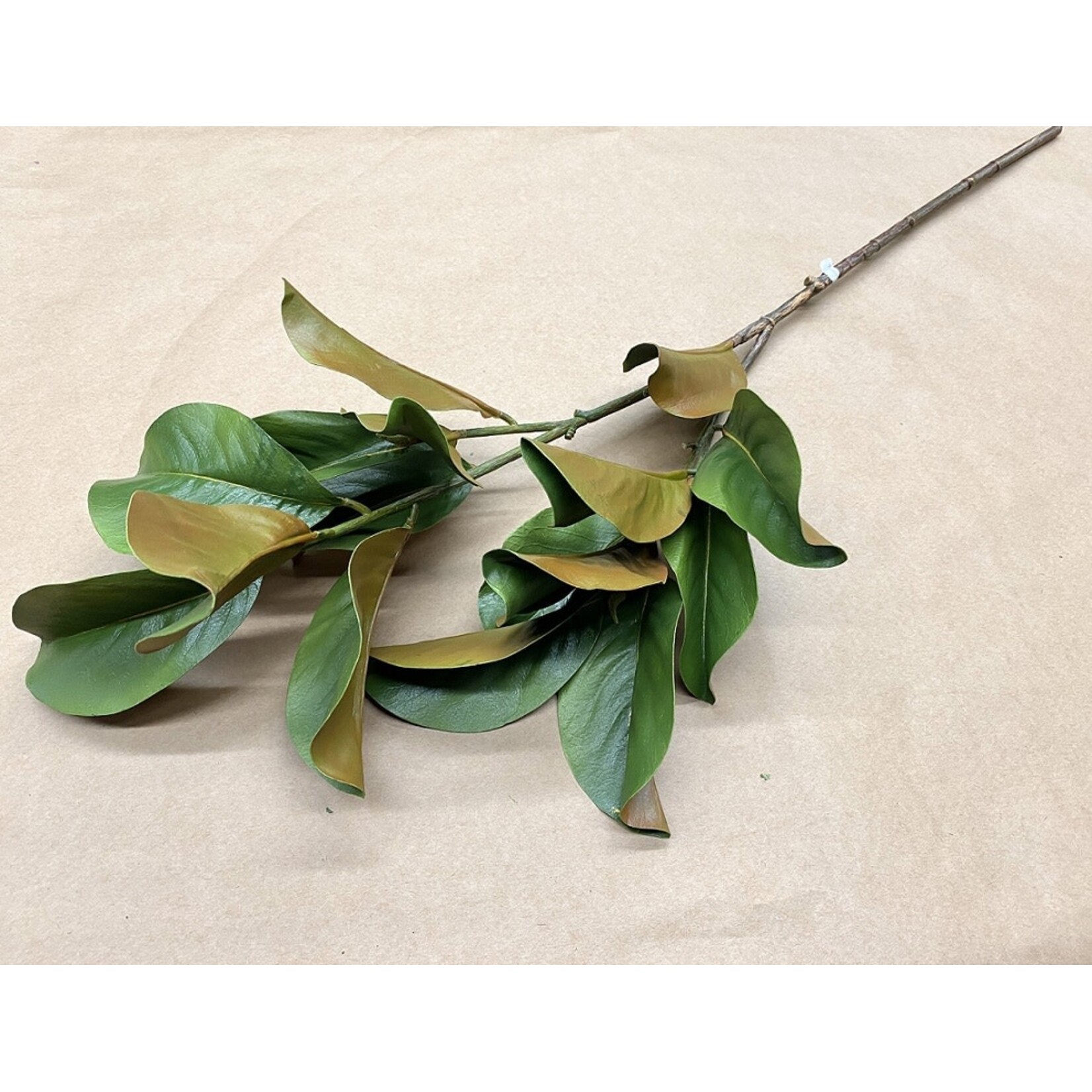 40" MAGNOLIA LEAF GREEN