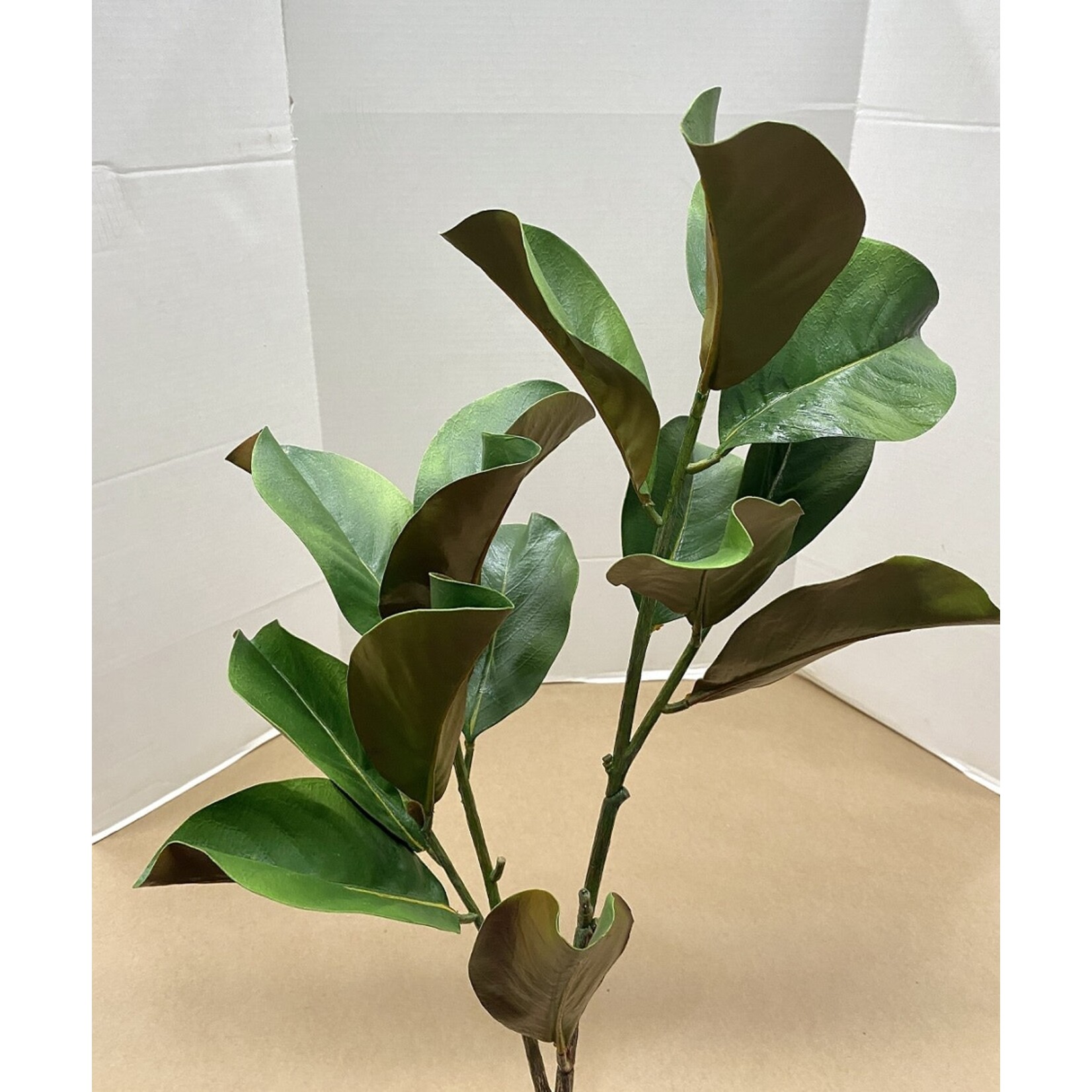 40" MAGNOLIA LEAF GREEN