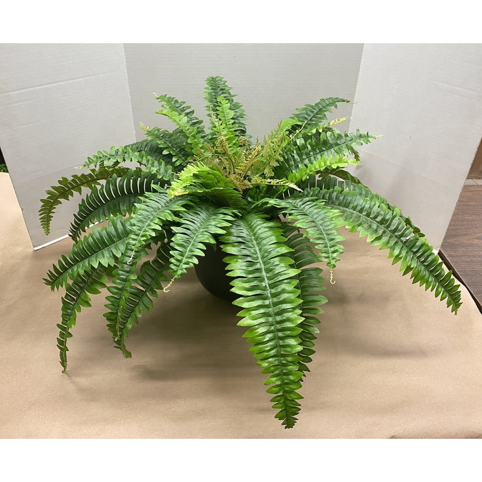 23" BOSTON FERN BUSH GREEN