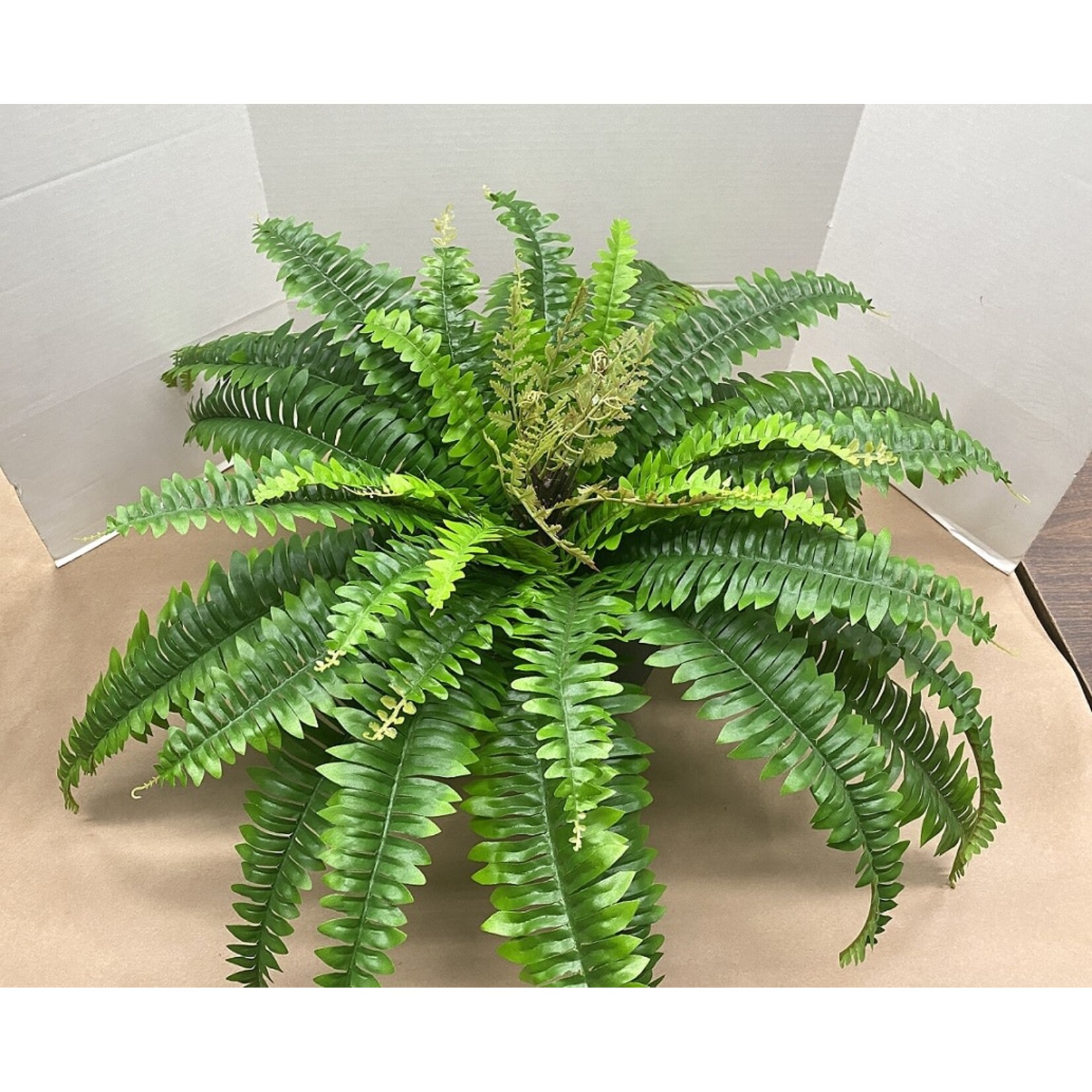 23" BOSTON FERN BUSH GREEN