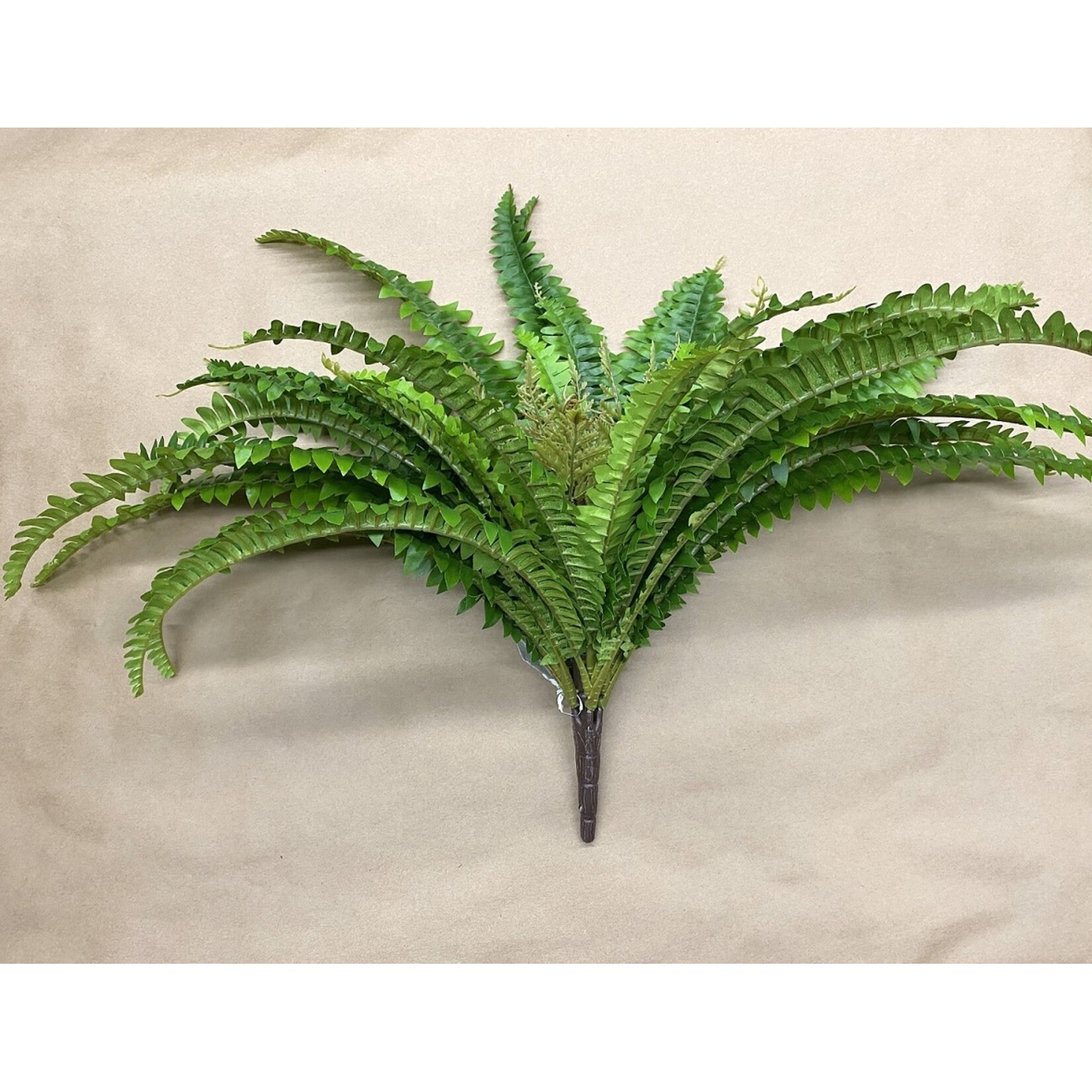 23" BOSTON FERN BUSH GREEN