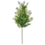 31" CEDAR SPRAY GREEN