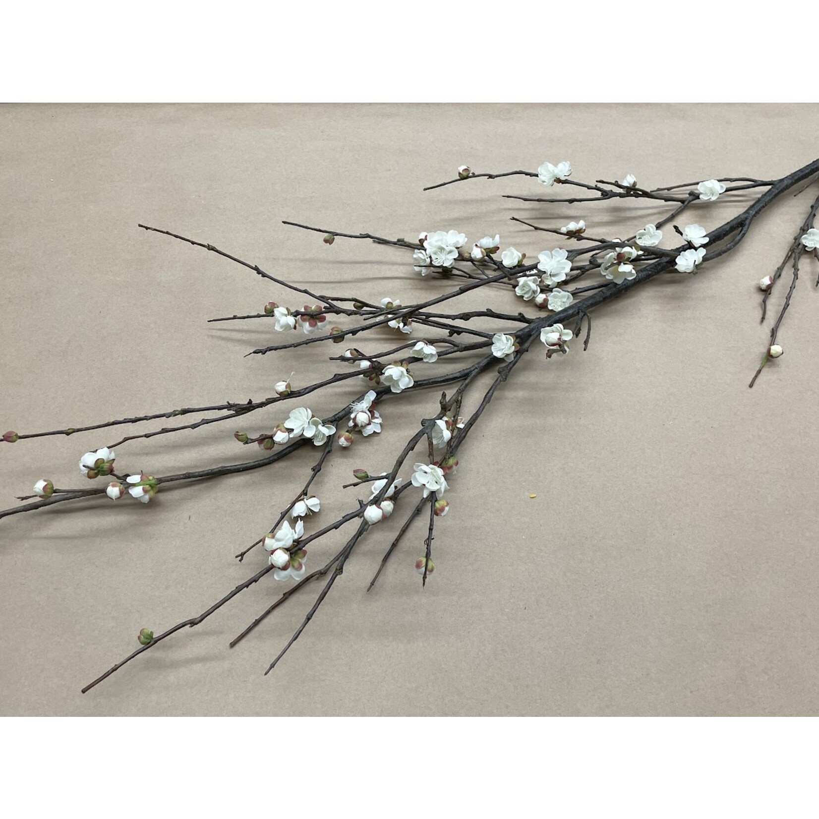 72" PLUM BLOSSOM WHITE