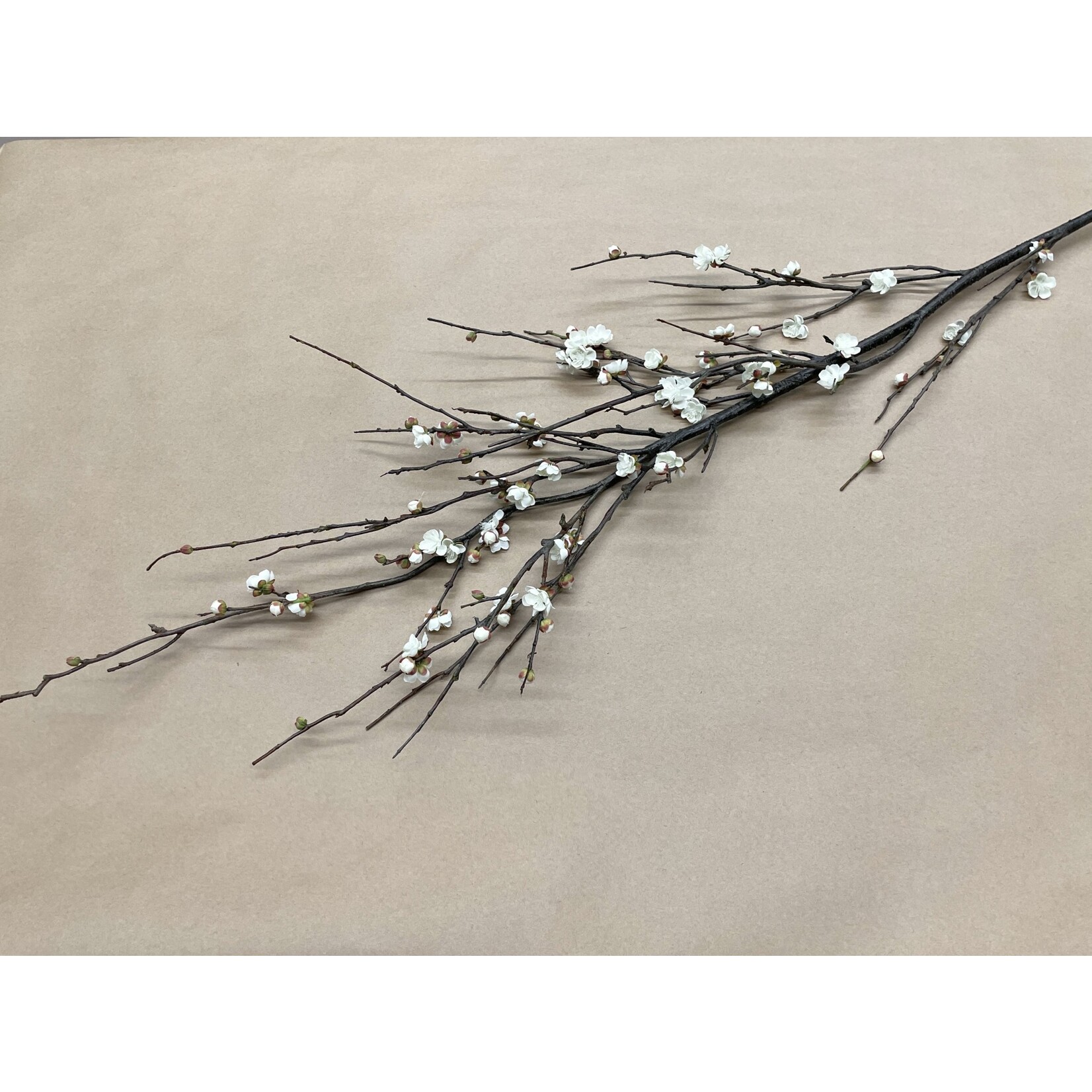 72" PLUM BLOSSOM WHITE