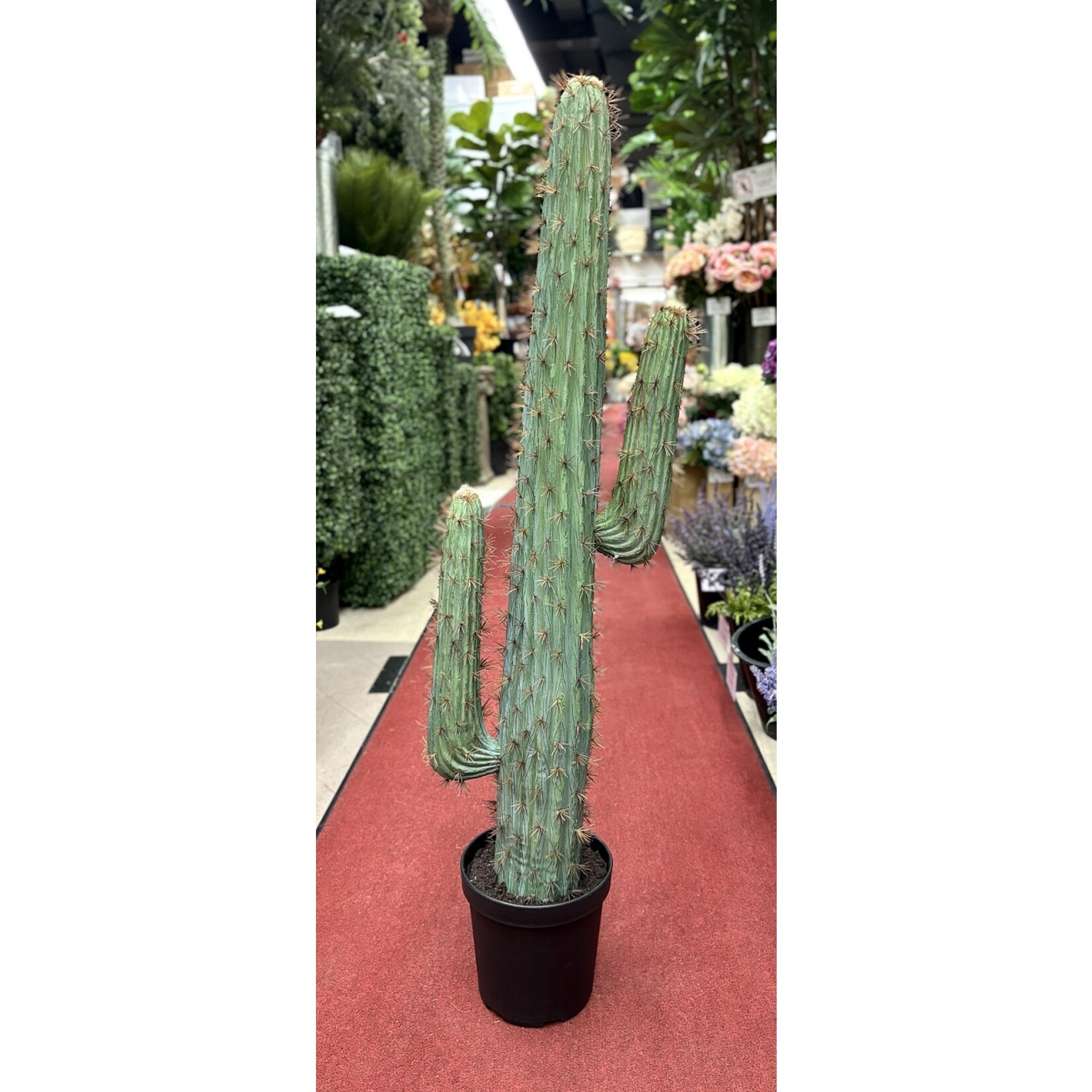 49" CACTUS POT GREEN