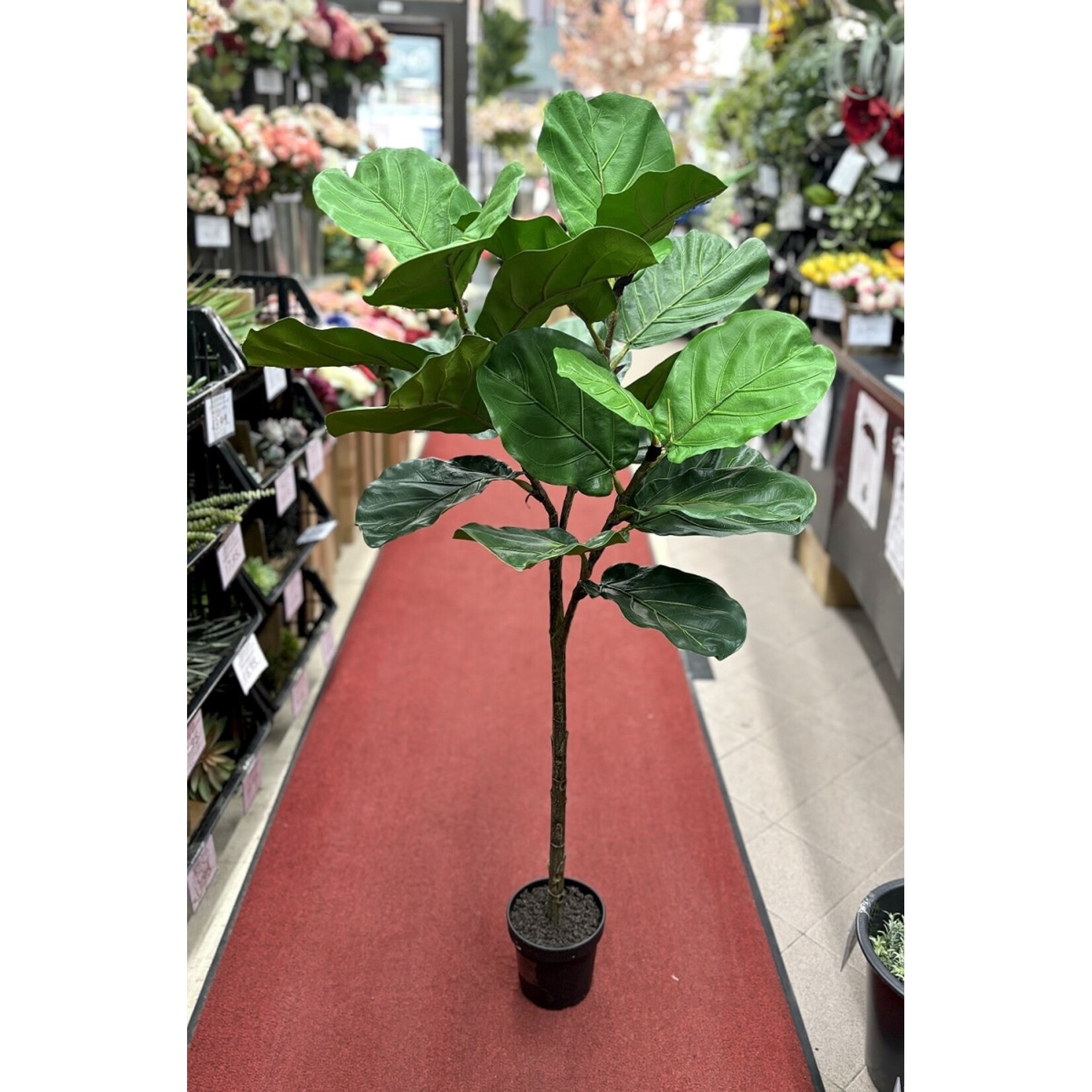 50" FIDDLE LEAF POT GREEN