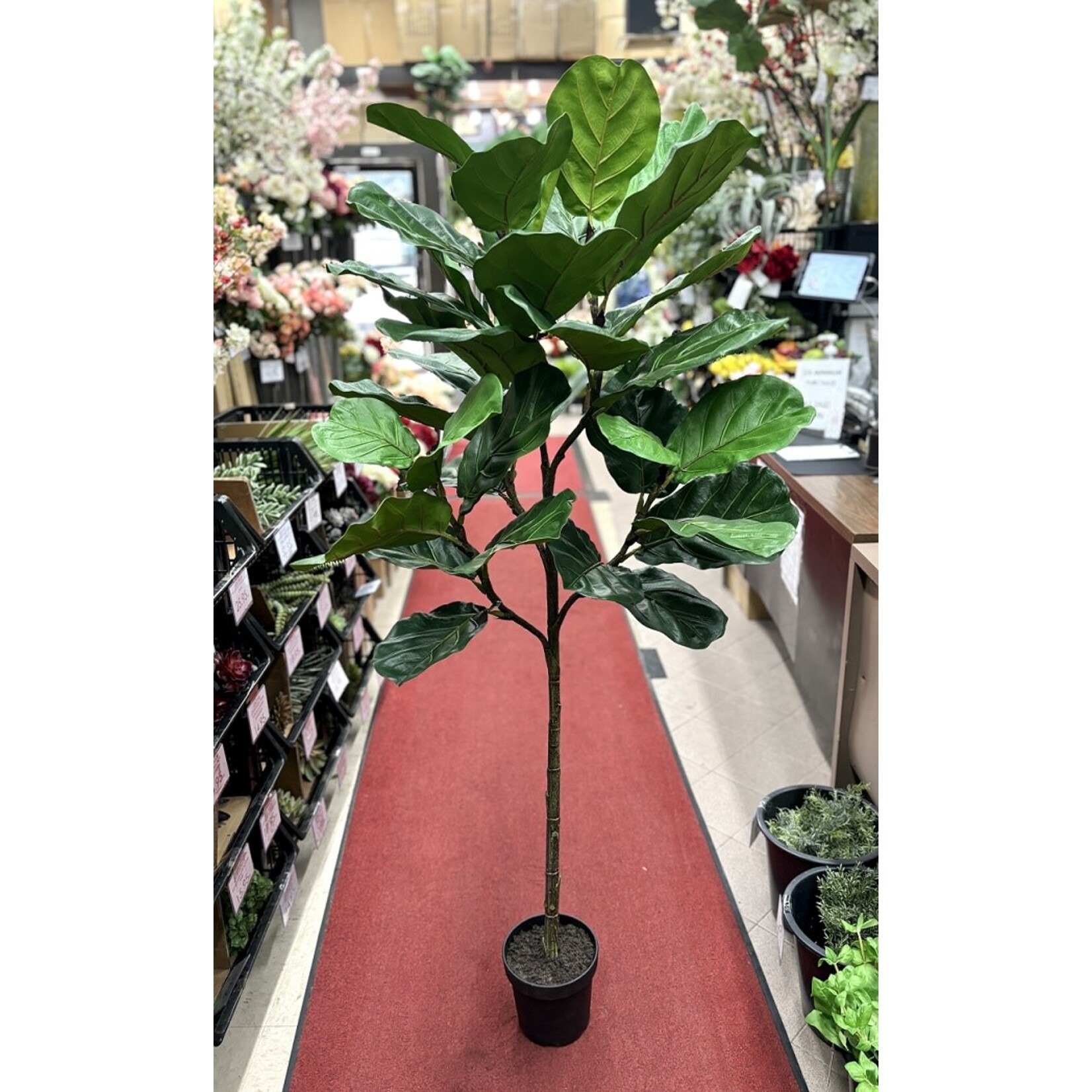 64" FIDDLE LEAF POT GREEN