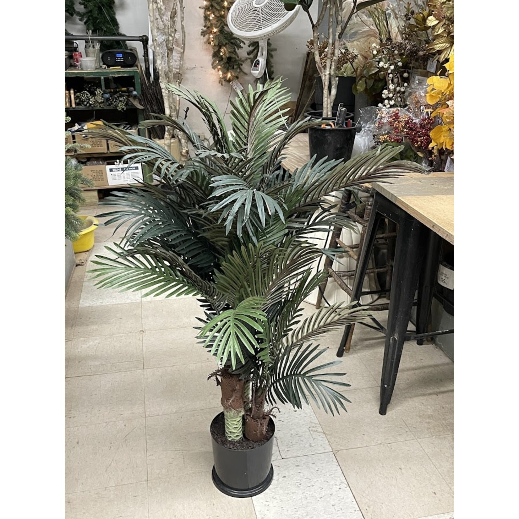 4' PHOENIX PALM TREE IN ROUND POT GREEN