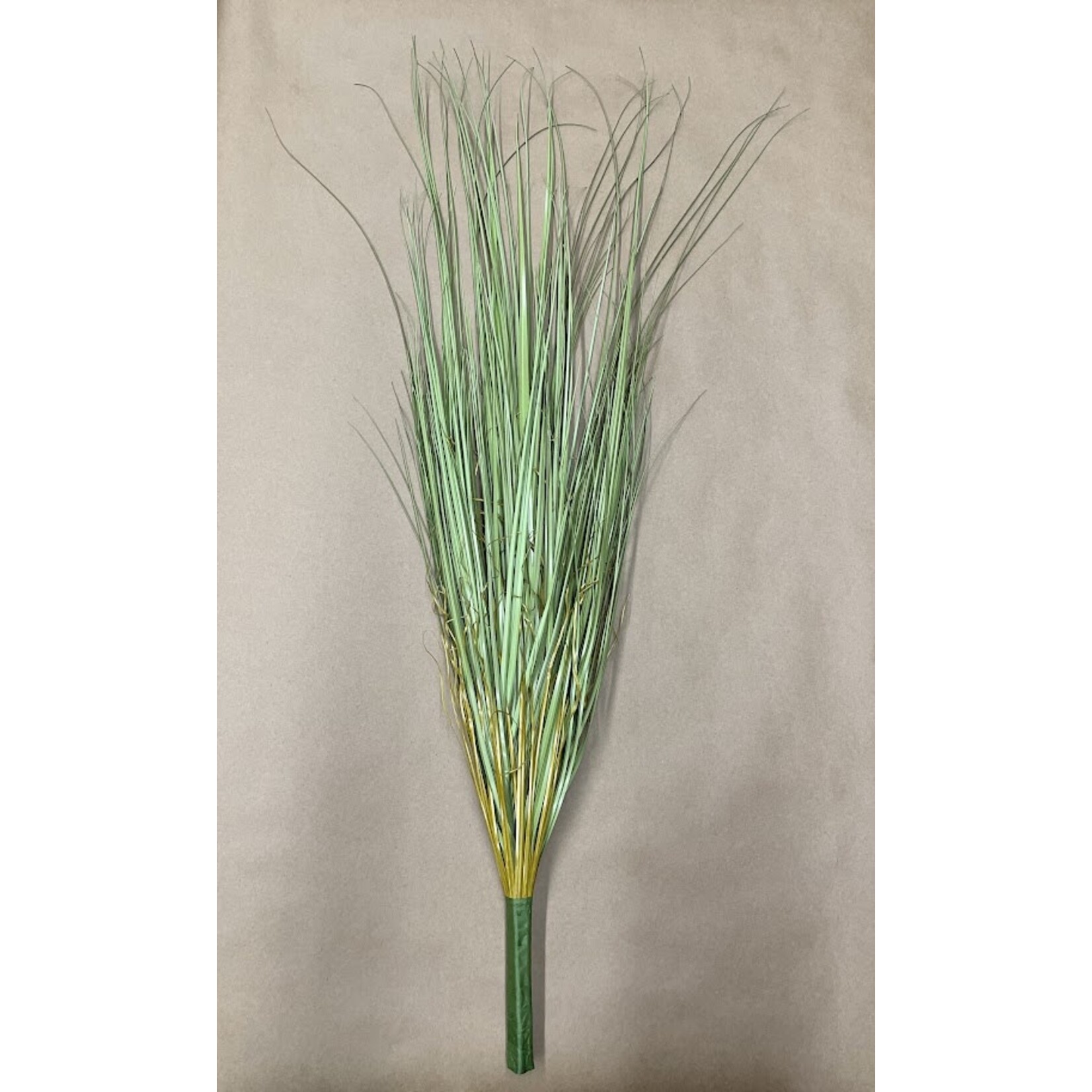 40" ONION GRASS BUSH GREEN