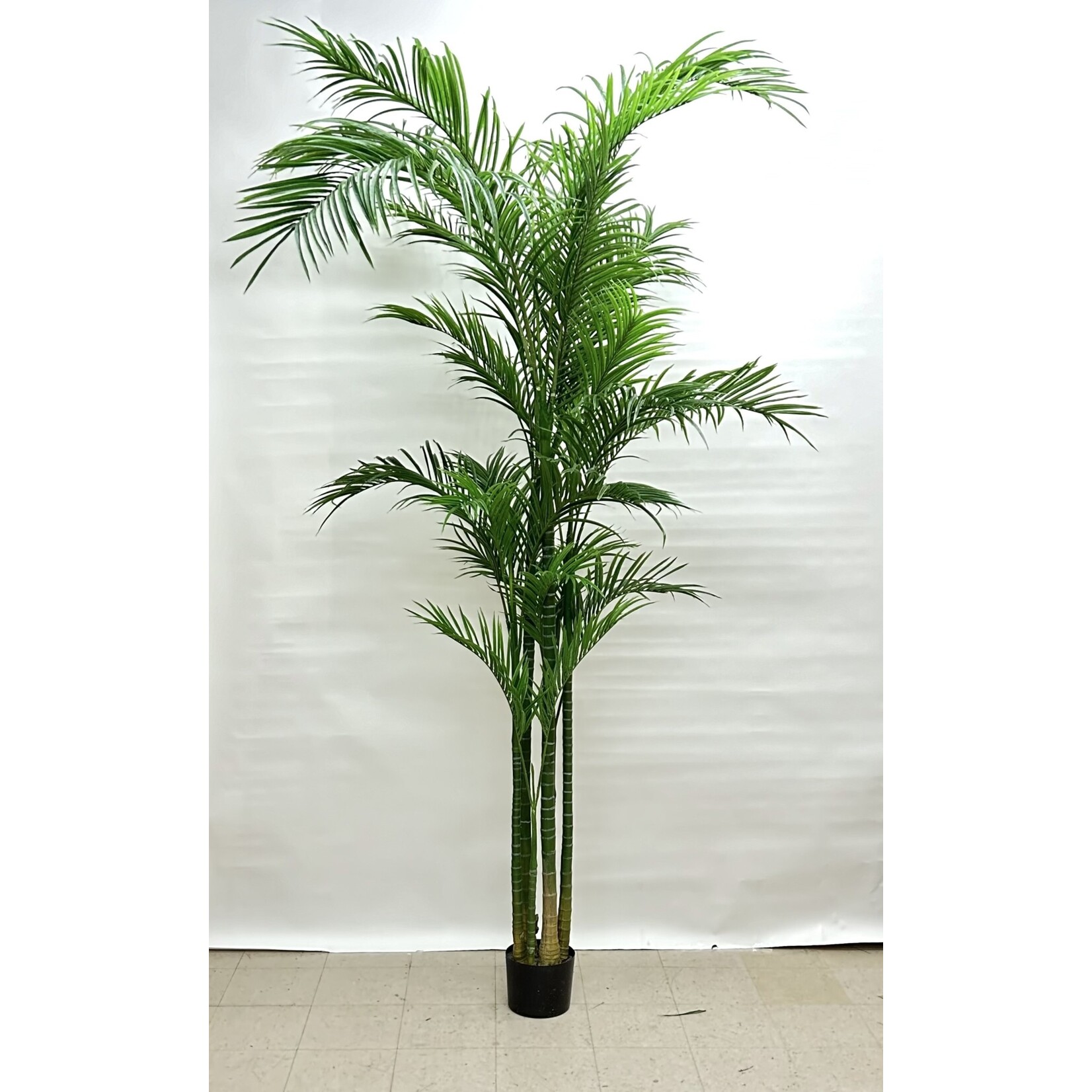 10' ARECA PALM TREE IN POT GREEN