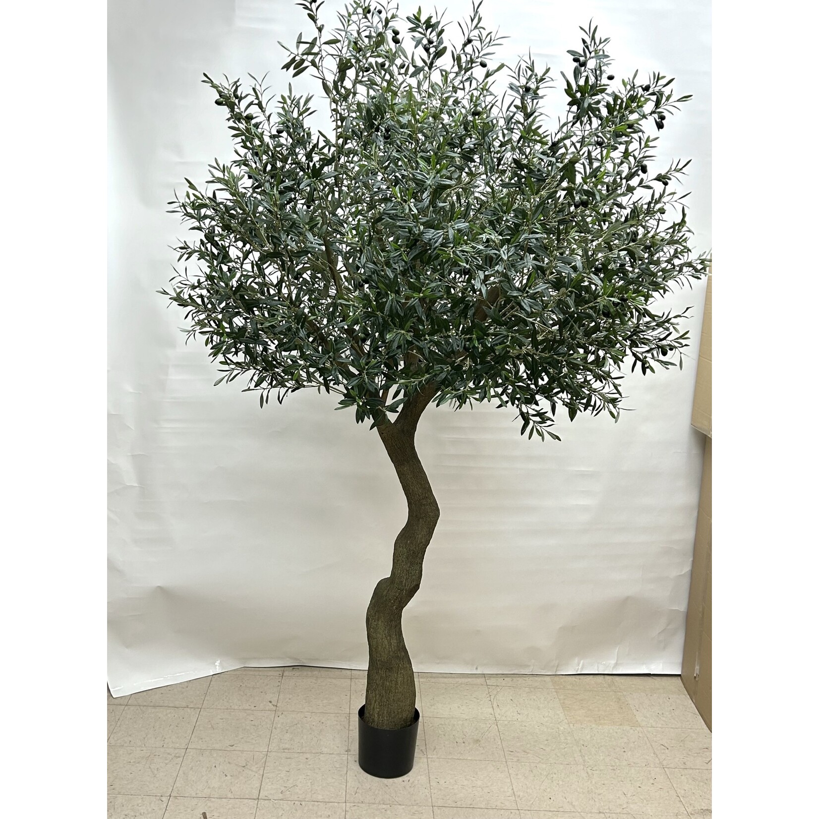 7' OLIVE TREE GREEN BLACK