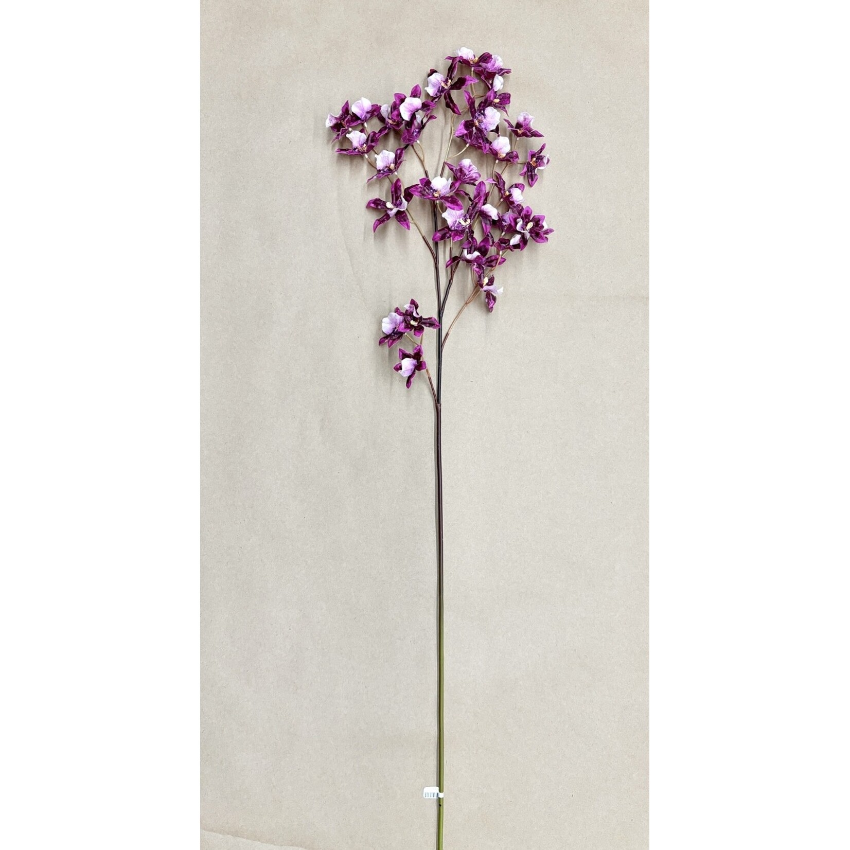 40" ORCHID DANCING ONCIDIUM PURPLE