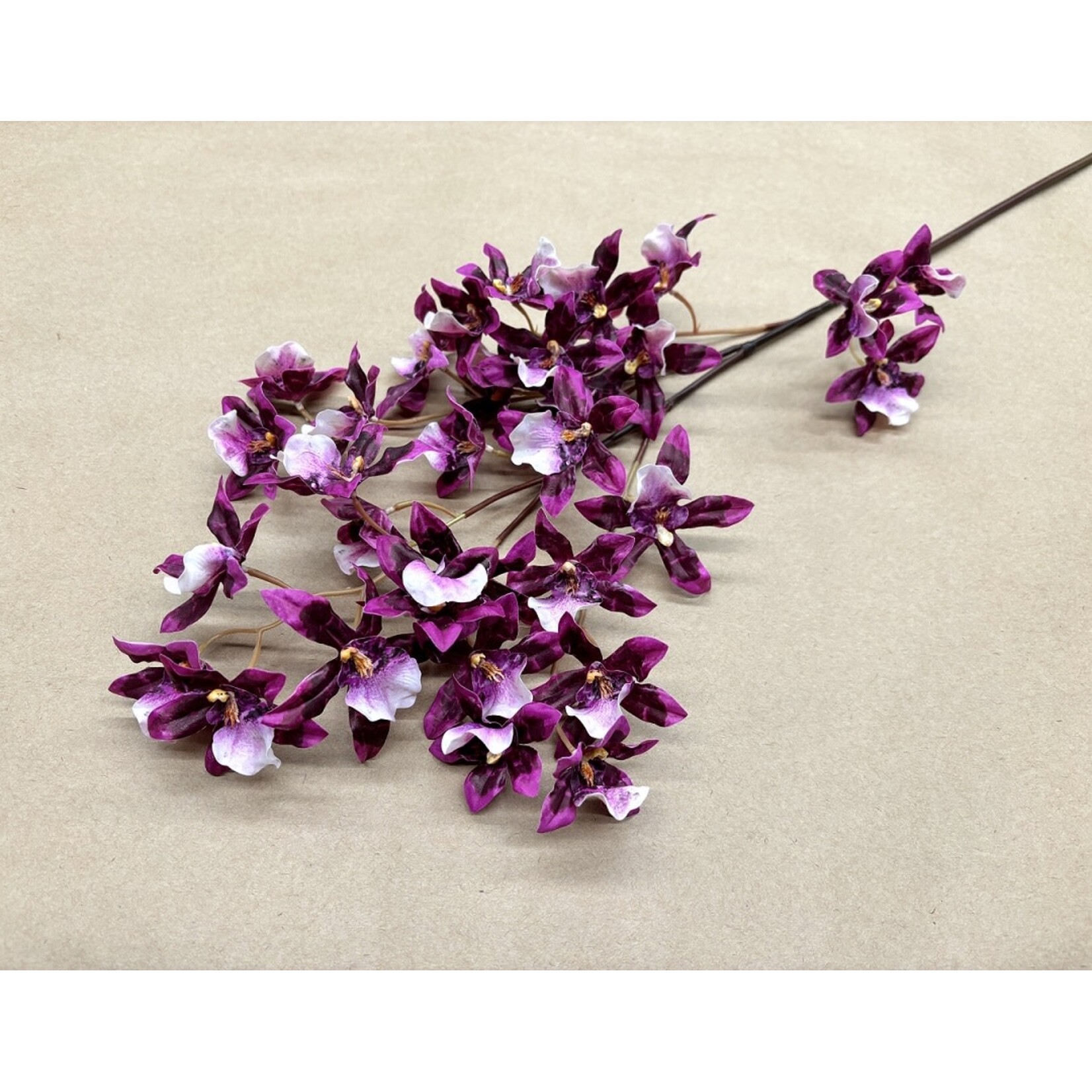 40" ORCHID DANCING ONCIDIUM PURPLE