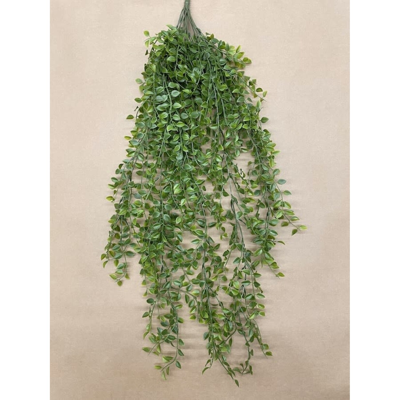 32" SMALL PEA LEAF HANGING BUSH GREEN