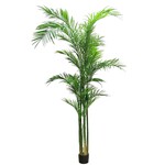 CTA510-GN: 10' ARECA PALM TREE IN POT GREEN