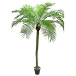CTP710-GN: 10' PHOENIX PALM TREE GREEN