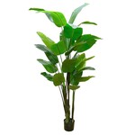 CTB310-GN: 10' BIRD OF PARADISE PLANT IN GREEN