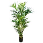 CTK028-GN/LT: 8’ KENTIA PALM TREE (2X)