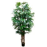 CTR136-GN/TT: 6' RHAPIS TREE GREEN IN POT TWO TONE