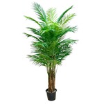CTA267-GN:  7' ARECA PALM TREE IN POT GREEN (2X)