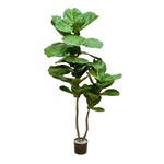 CTF067-GN: 63" FIDDLE LEAF PLANT IN POT GREEN