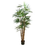 CTP127-GN: 82.6" HONEY RHAPIS PALM TREE IN POT GREEN
